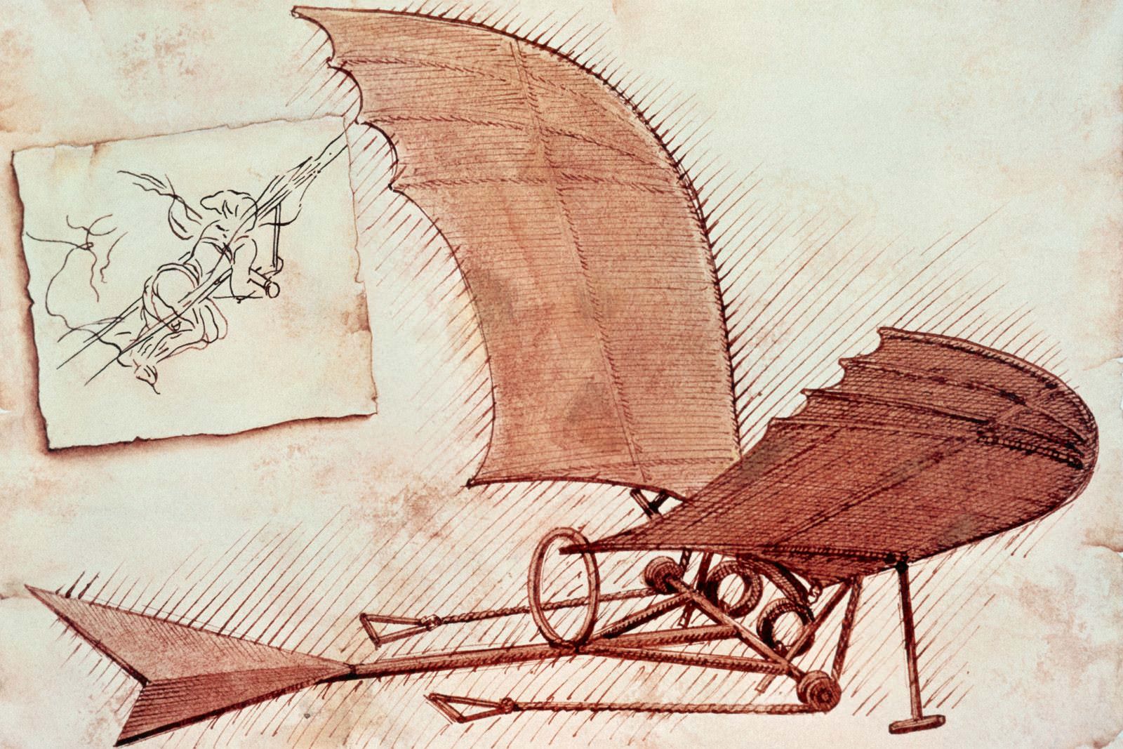 Image result for Leonardo da Vinci's Flying Machine